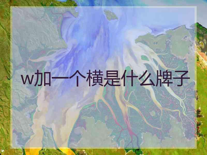 w加一个横是什么牌子