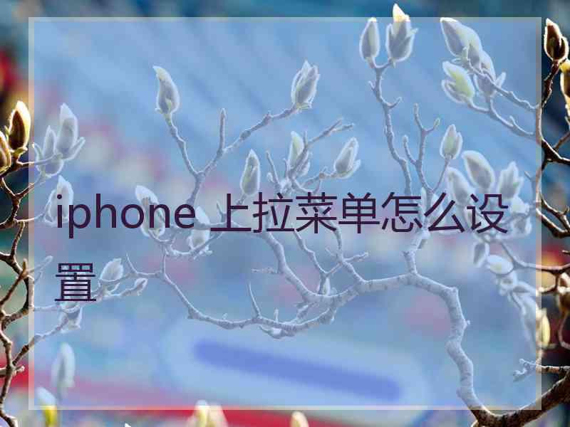 iphone 上拉菜单怎么设置