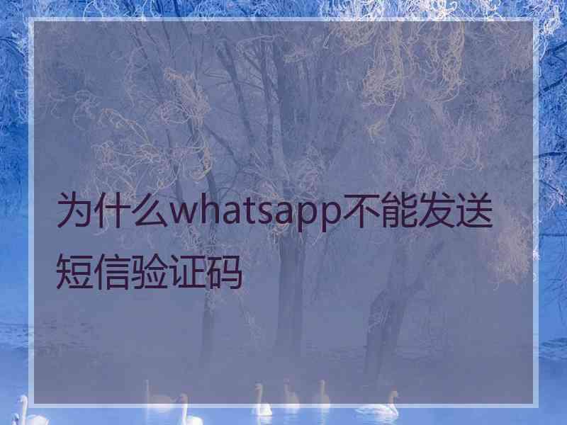 为什么whatsapp不能发送短信验证码