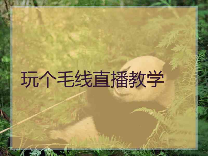 玩个毛线直播教学