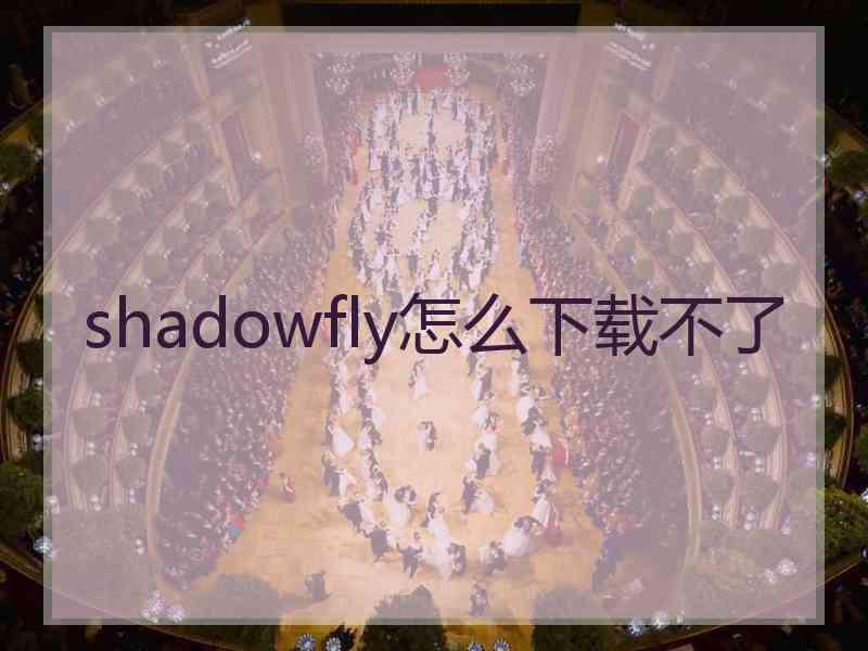 shadowfly怎么下载不了