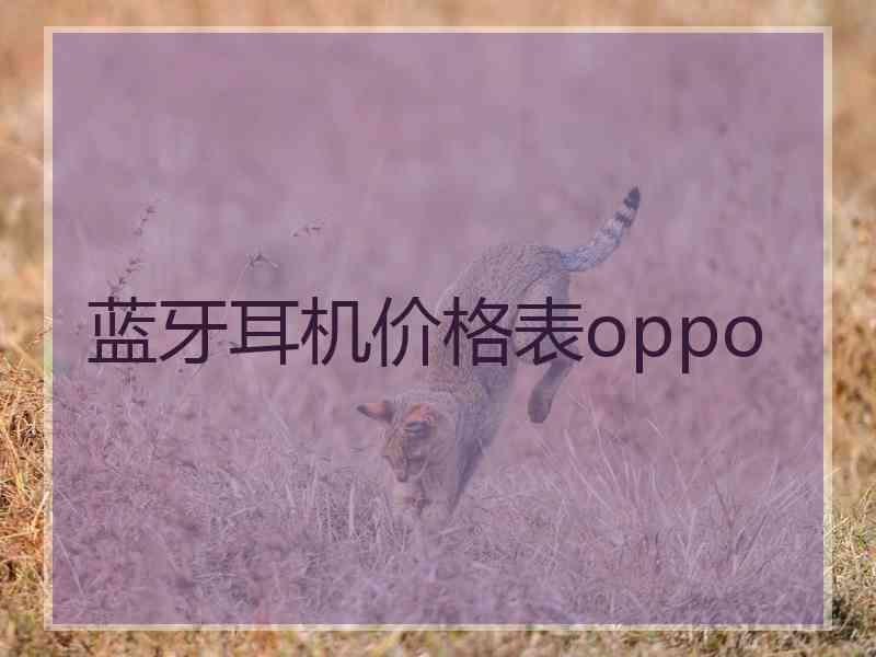 蓝牙耳机价格表oppo