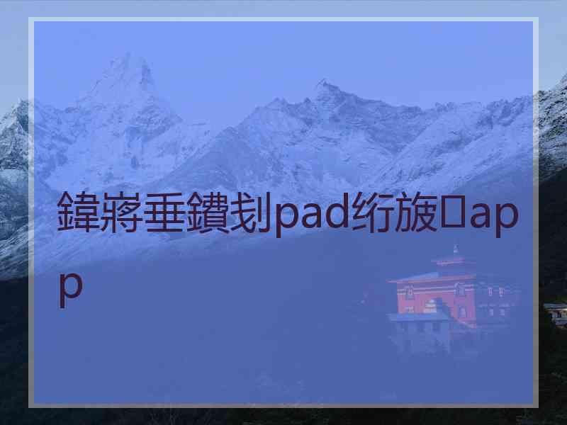 鍏嶈垂鐨刬pad绗旇app