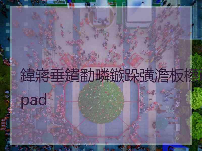 鍏嶈垂鐨勫疄鏃跺彉澹板櫒ipad