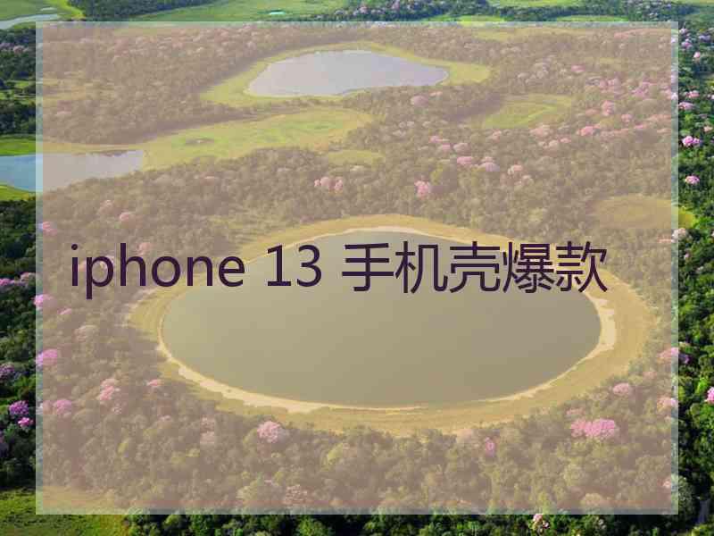 iphone 13 手机壳爆款