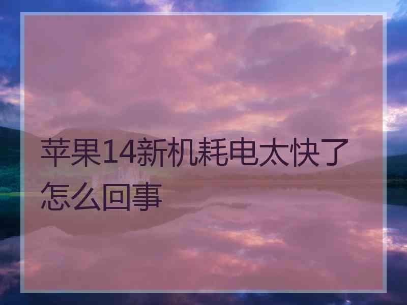 苹果14新机耗电太快了怎么回事