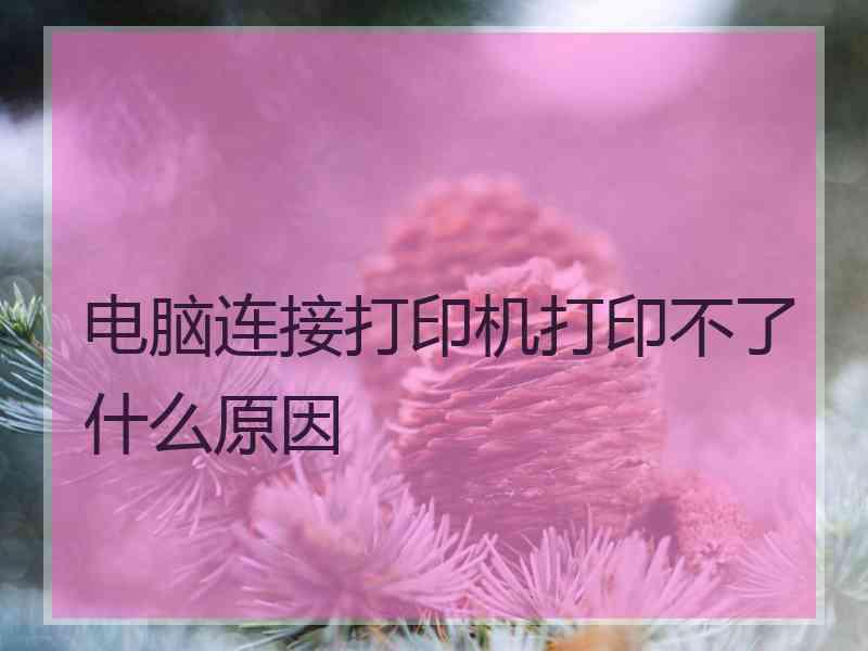 电脑连接打印机打印不了什么原因