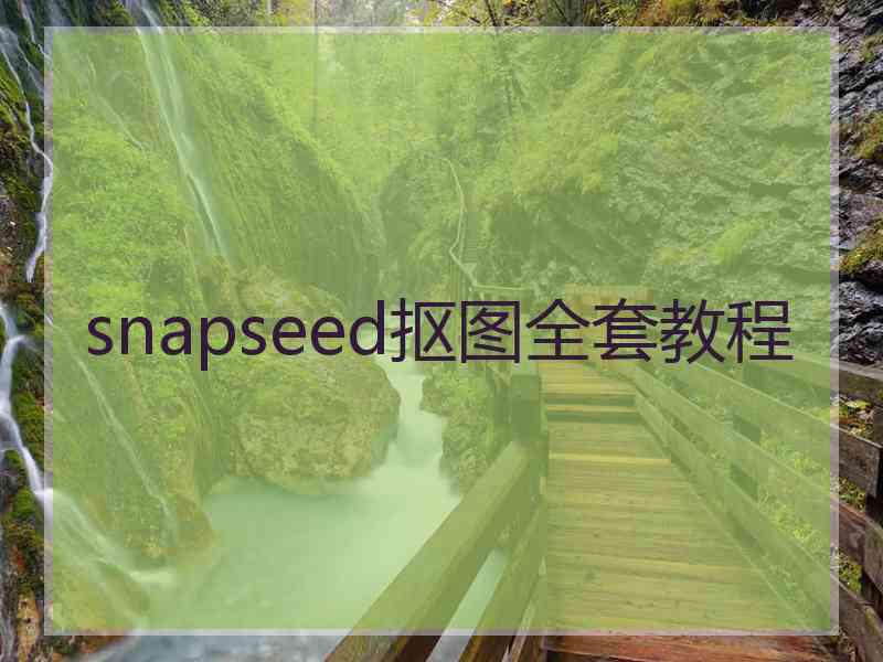 snapseed抠图全套教程