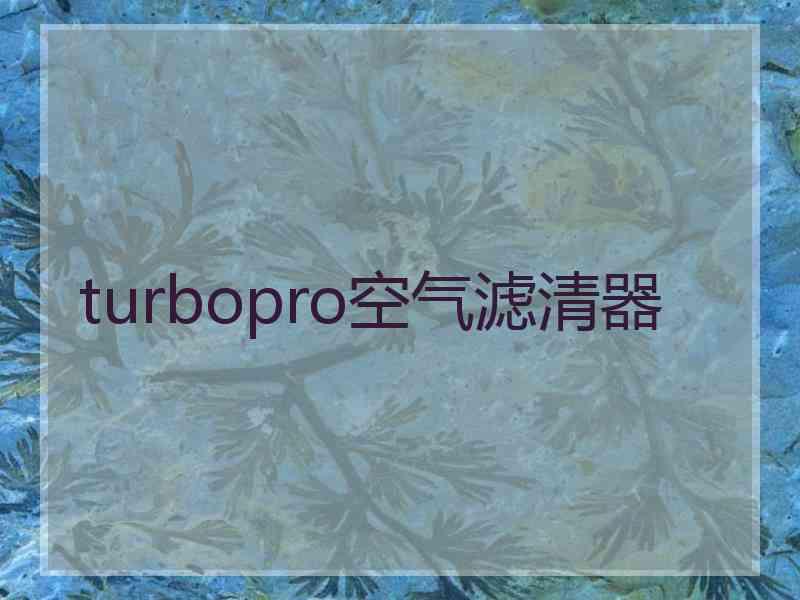 turbopro空气滤清器