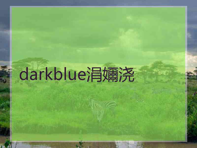 darkblue涓嬭浇