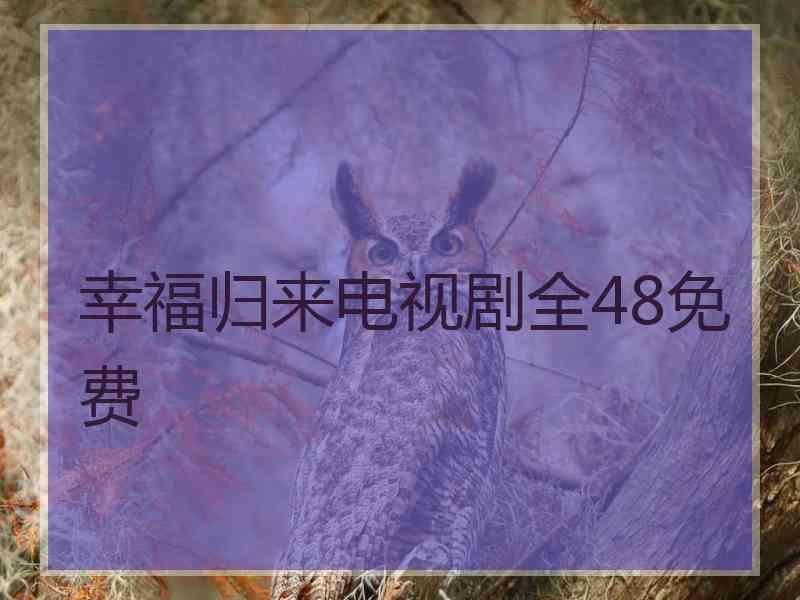 幸福归来电视剧全48免费