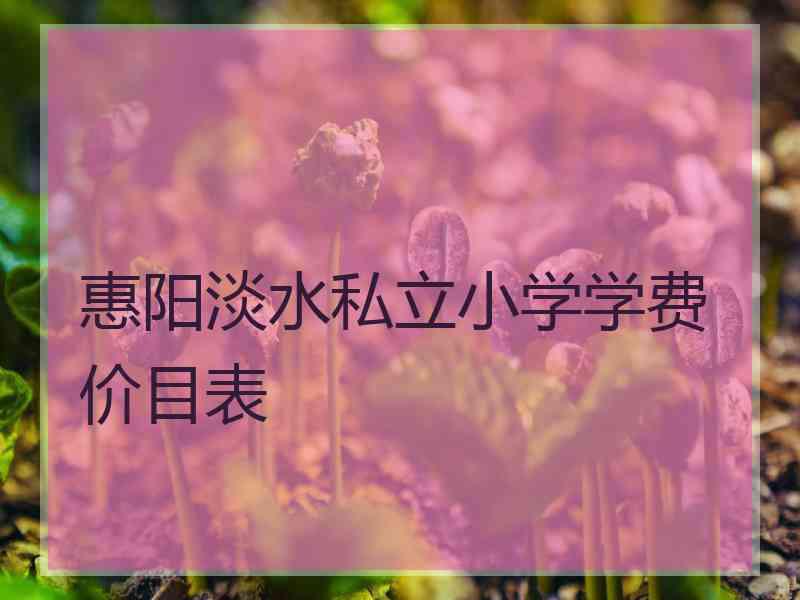 惠阳淡水私立小学学费价目表