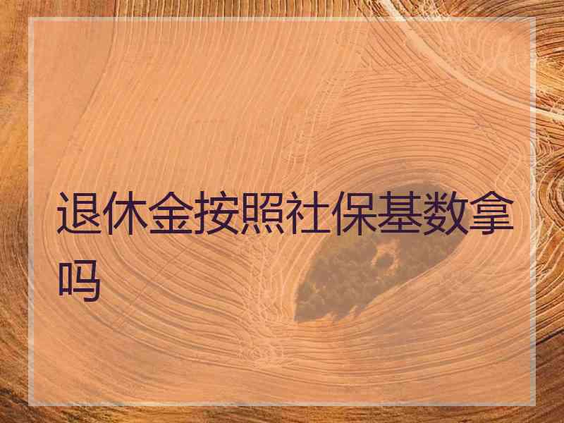 退休金按照社保基数拿吗