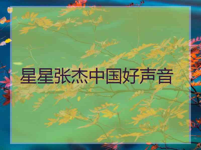 星星张杰中国好声音