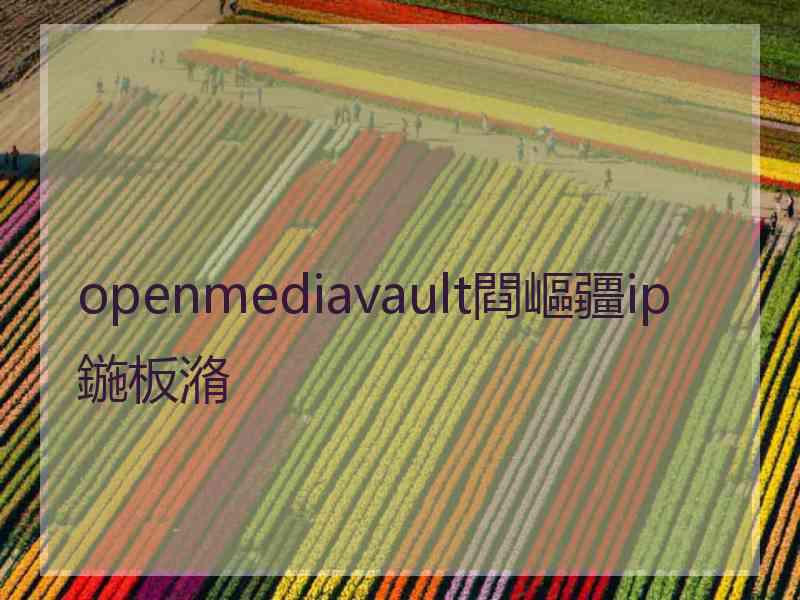 openmediavault閰嶇疆ip鍦板潃