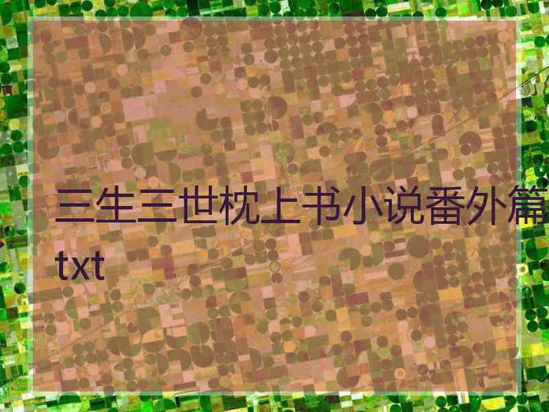 三生三世枕上书小说番外篇txt