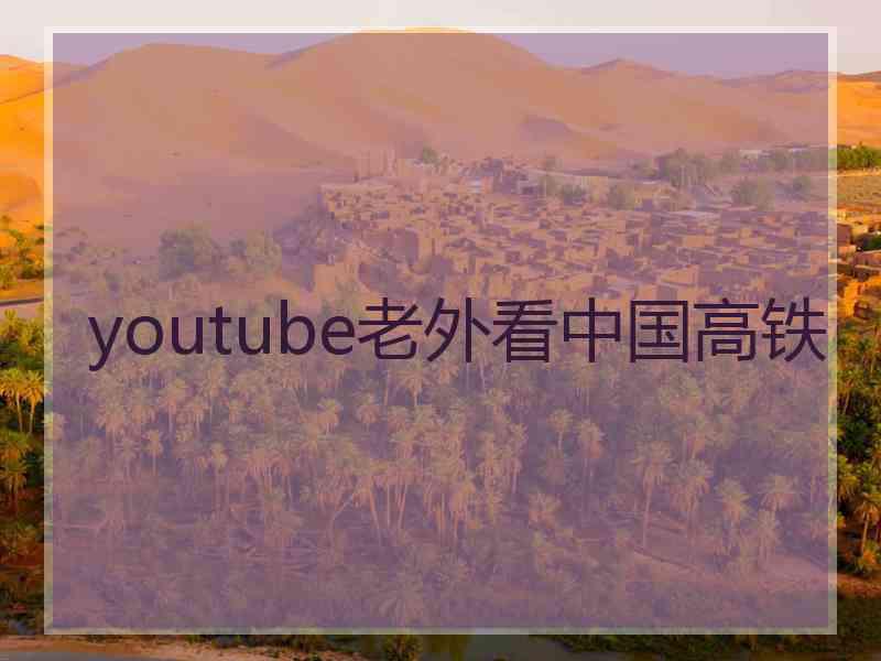 youtube老外看中国高铁