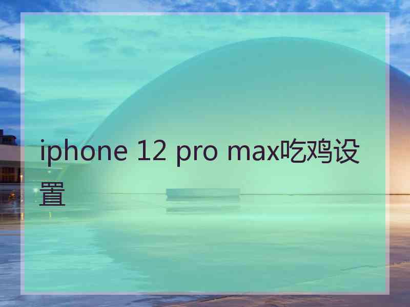 iphone 12 pro max吃鸡设置