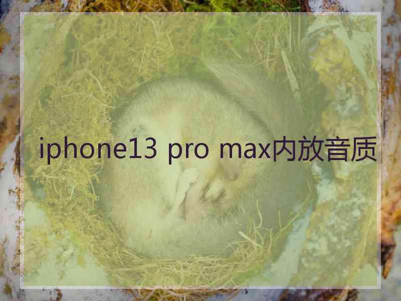 iphone13 pro max内放音质