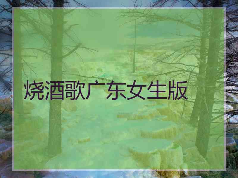 烧酒歌广东女生版