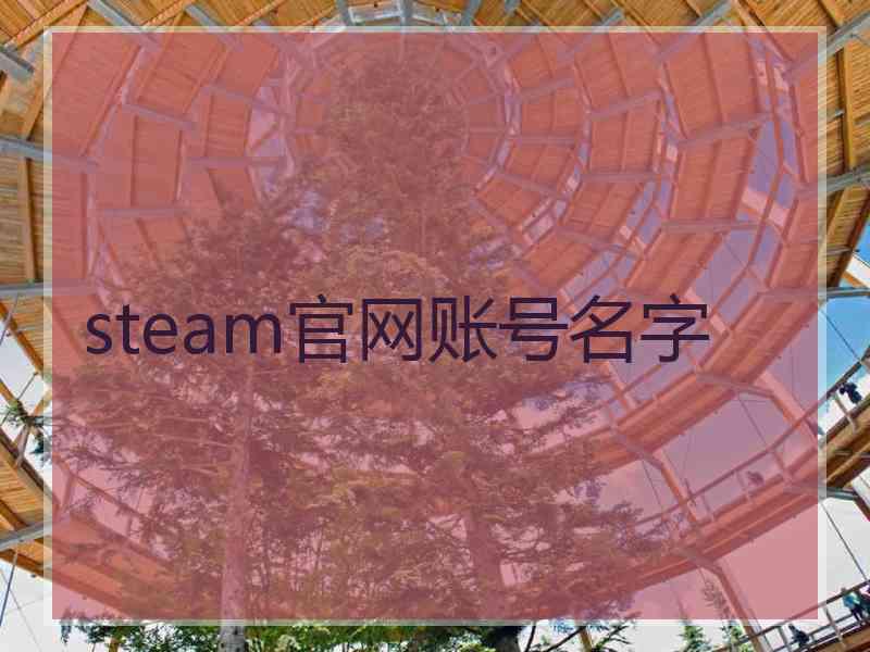 steam官网账号名字