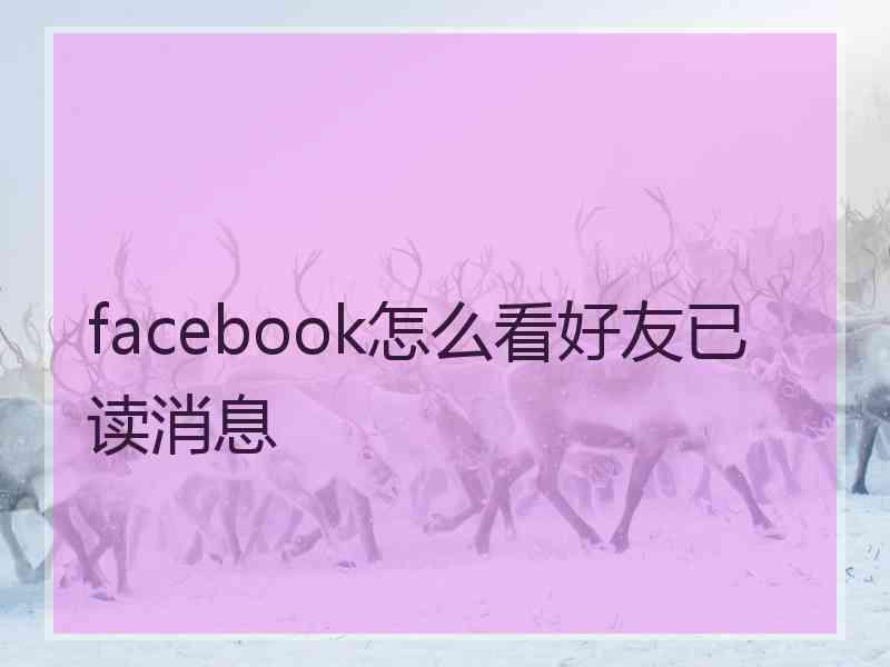 facebook怎么看好友已读消息