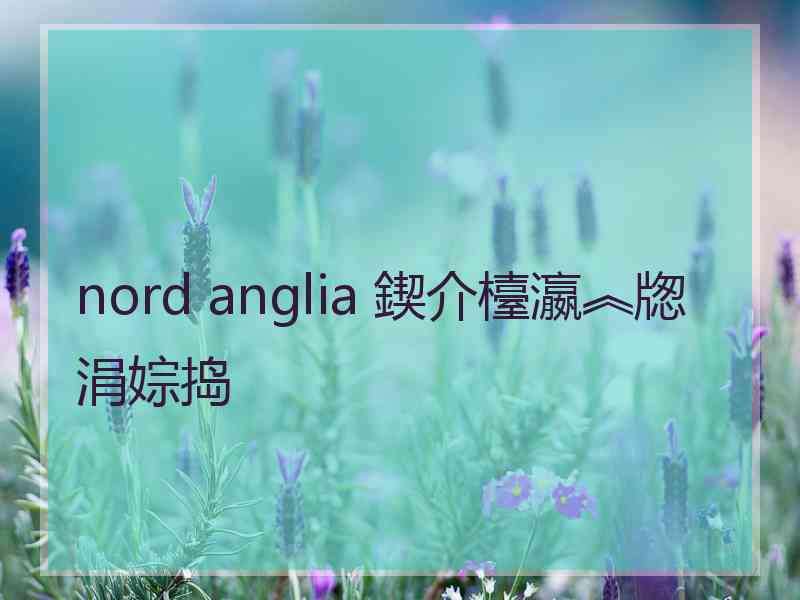 nord anglia 鍥介檯瀛︽牎涓婃捣