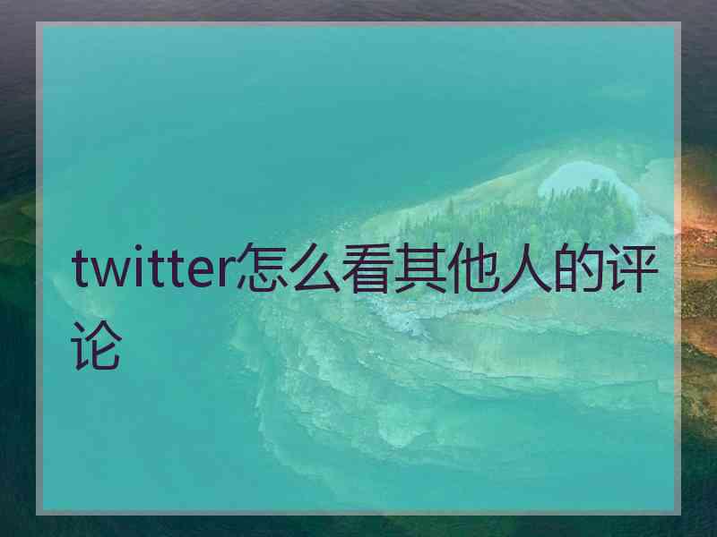 twitter怎么看其他人的评论