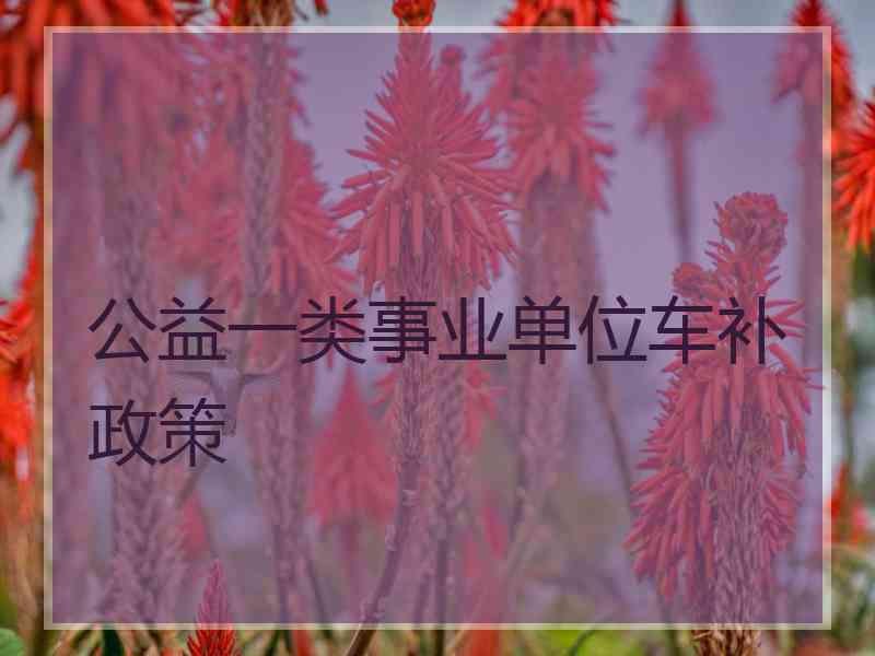 公益一类事业单位车补政策