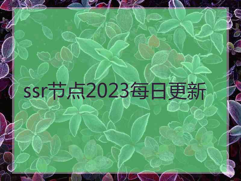 ssr节点2023每日更新