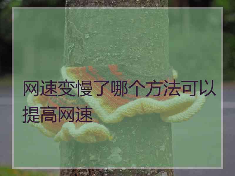 网速变慢了哪个方法可以提高网速