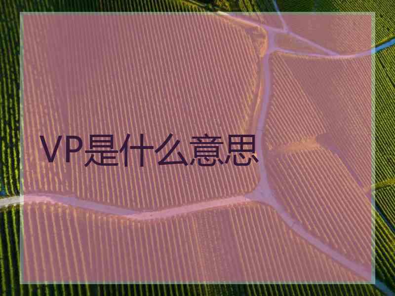 VP是什么意思