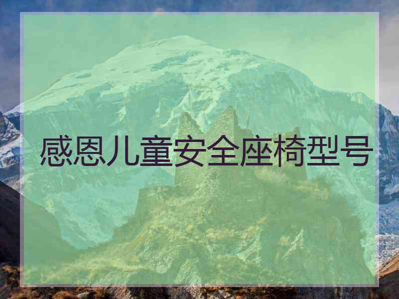 感恩儿童安全座椅型号