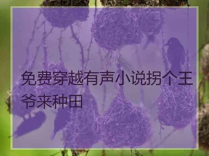 免费穿越有声小说拐个王爷来种田