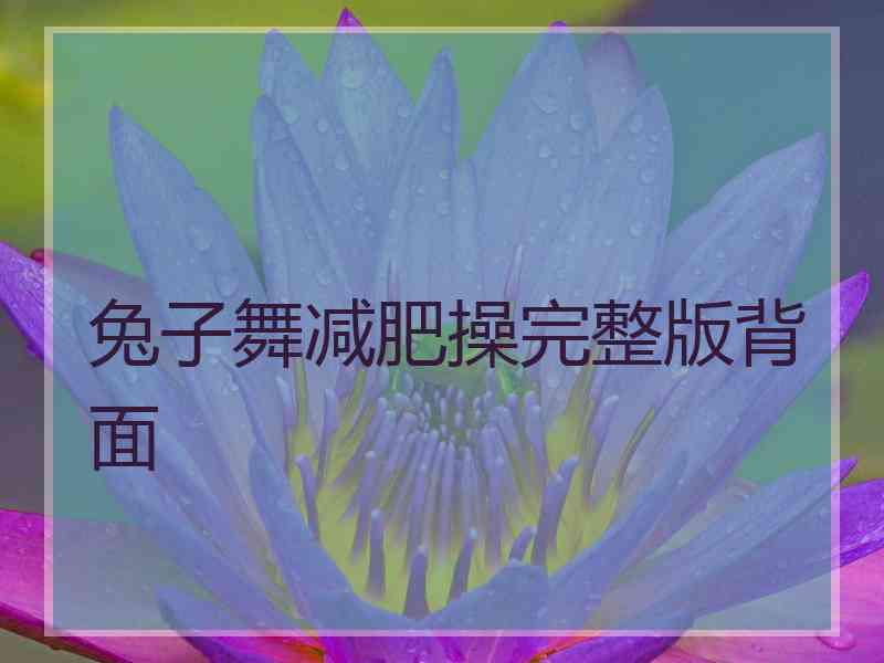 兔子舞减肥操完整版背面