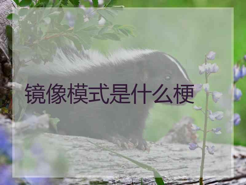 镜像模式是什么梗