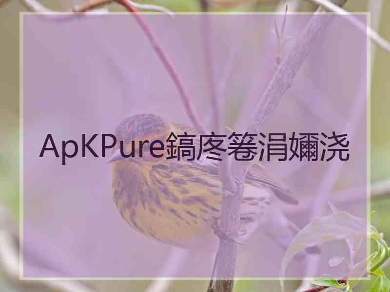 ApKPure鎬庝箞涓嬭浇