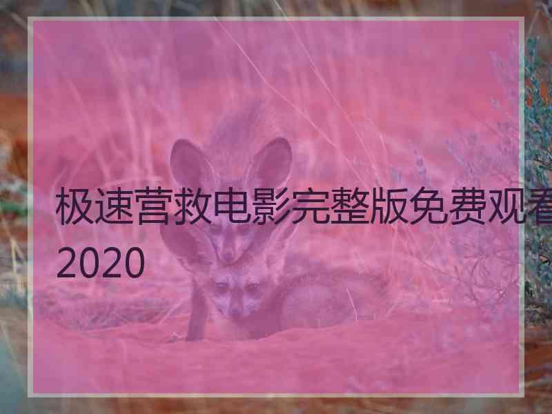 极速营救电影完整版免费观看2020