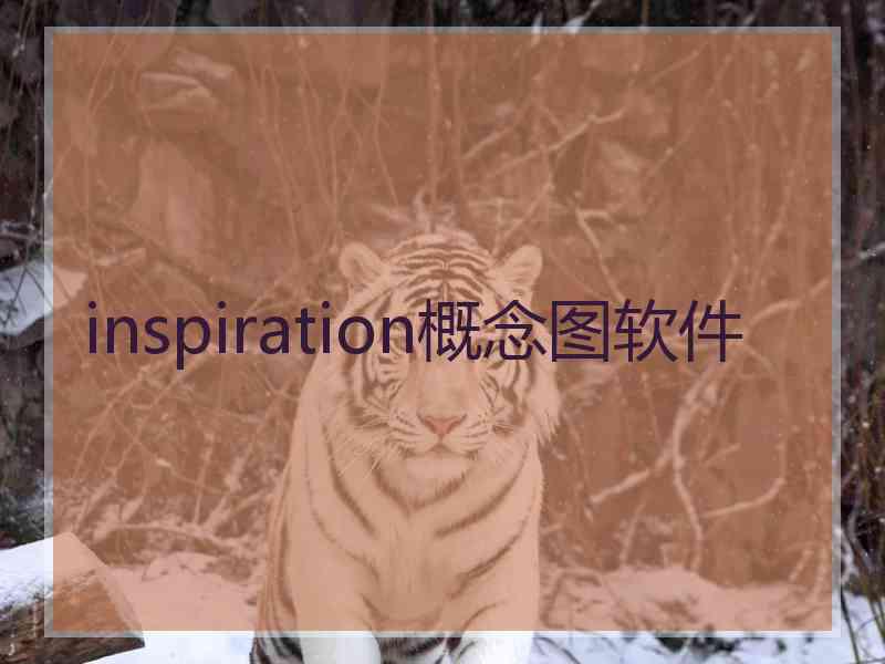 inspiration概念图软件