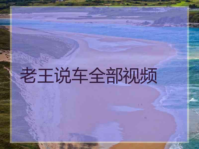 老王说车全部视频