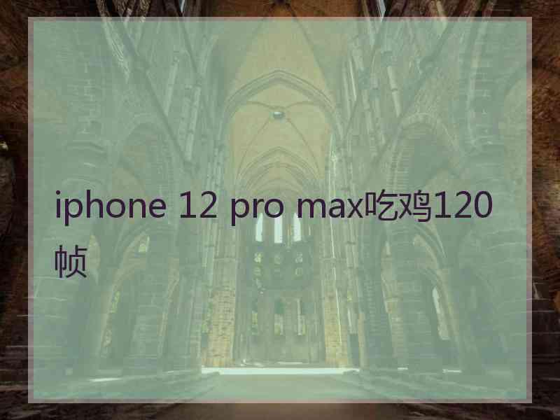 iphone 12 pro max吃鸡120帧