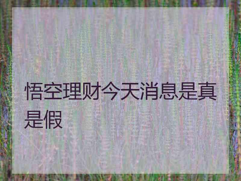 悟空理财今天消息是真是假