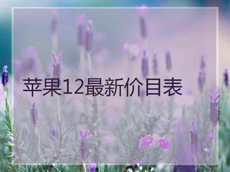 苹果12最新价目表