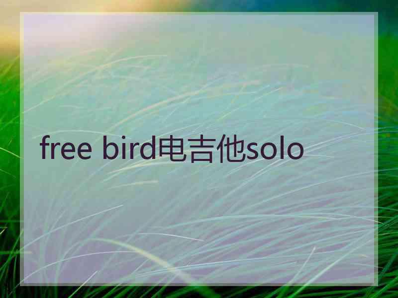 free bird电吉他solo