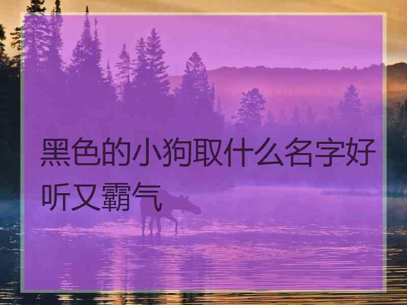 黑色的小狗取什么名字好听又霸气