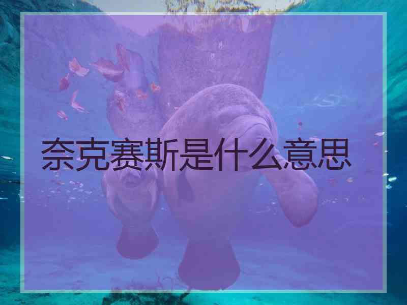 奈克赛斯是什么意思