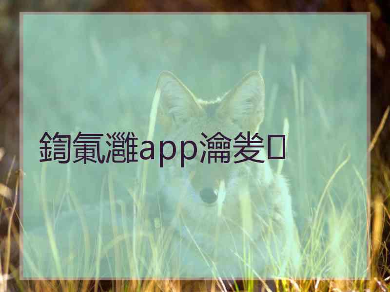 鍧氭灉app瀹夎