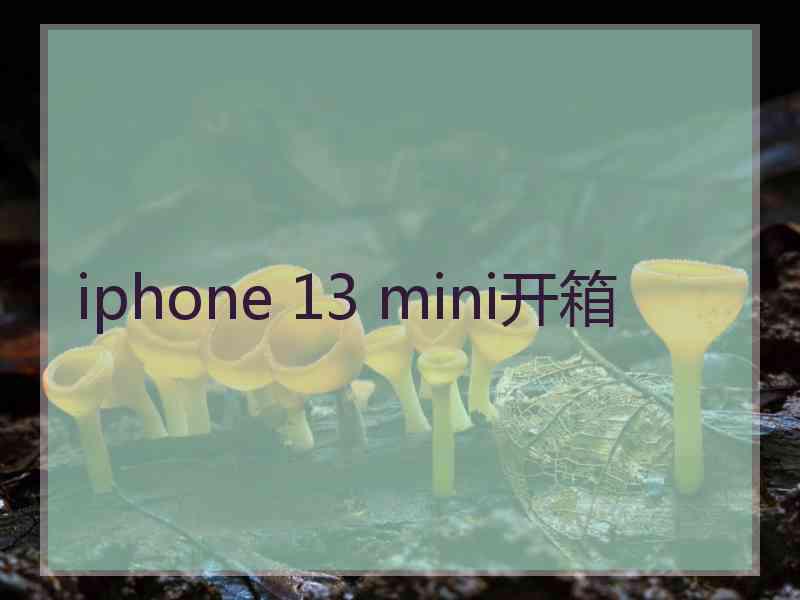 iphone 13 mini开箱