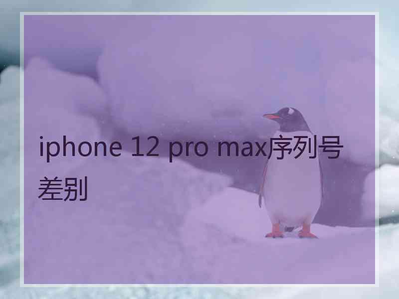 iphone 12 pro max序列号差别