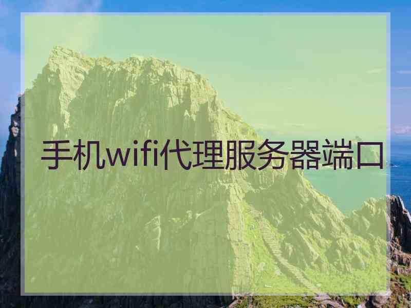 手机wifi代理服务器端口